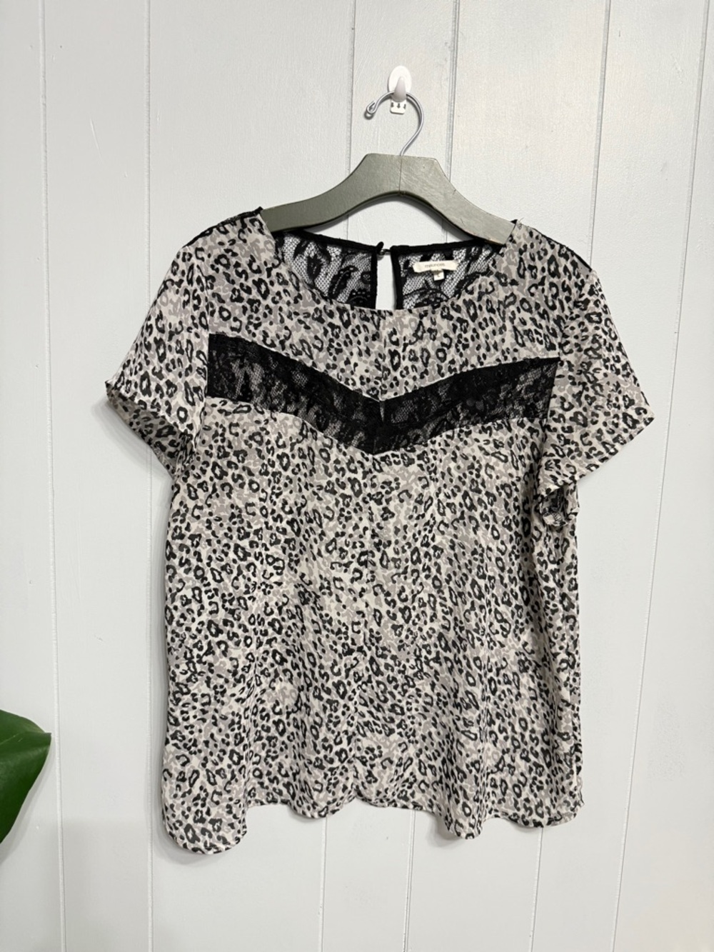 #17) Short Sleeve Leopard Print Top with Lace Accent - Black & Cream